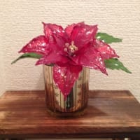 新作☆ポインセチア赤