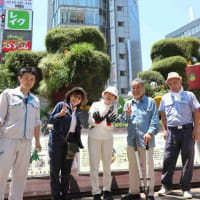 〇6/17　環境の緑化と美化報告報告　　ヘデラが植えられました。