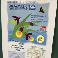 ホタル鑑賞会から春日方面ビラ配布