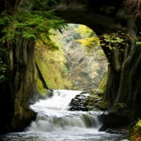 『濃溝の滝』　今大人気の紅葉スポット
