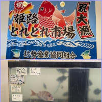 そうだ 白鷺鱧、🍴食べに行こう。