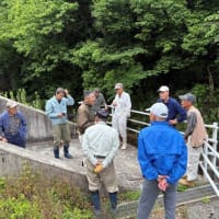 塩手池の放流日でした