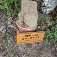 鳥取旅行 ～砂の美術館・鳥取砂丘～