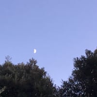月