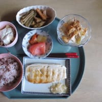 レンジ調理機ででサバ焼いてみたよ(*'▽')