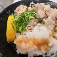 はなまるうどんイオン豊川開運通店　３種薬味で食べる豚しゃぶうどん＋野菜かき揚げ、ちくわ磯部揚げ、いか天