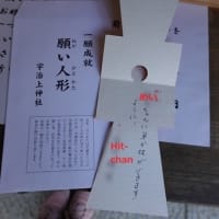 14 ひとり帰国日記/宇治上神社 (Japan Trip Alone 2024 vol.14/Uji-gami Shrine)