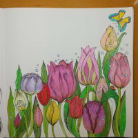 『Mein Spaziergang durch die Jahreszeiten:  Ausmalen und durchatmen. Die schoensten Motive』チューリップ
