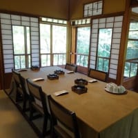 ぶり大根と青椒肉絲のお弁当と、奈良の素敵なひと時