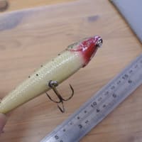 STIフィッシング パップフィッシュ / Pupfish　11.5cm