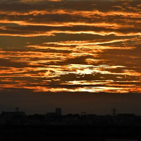 知る人ぞ知る鶴見市場　夜編　その６