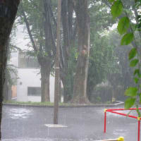 ゲリラ豪雨