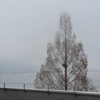 びわ湖ホールでのオペラ「死の都」を
