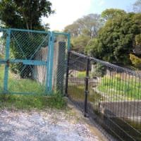 川沿いを歩いた