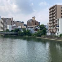 今年もあと半年【福岡市社交ダンス教室・福岡市社交ダンススタジオ・薬院、渡辺通、柳橋・福岡のダンススクールライジングスター】