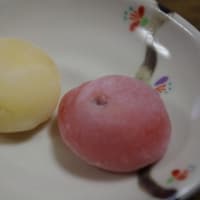 飲食レポ 第１弾