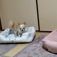 ペットボトルカバーを編んでみよう！