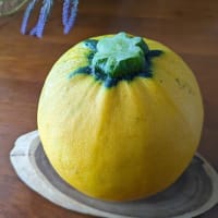 なばなの里の紫陽花ロードを楽しみました＾＾ｖ
