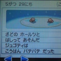 ２０２５年５月２９日、二匹のナックラーが走って遊ぶ