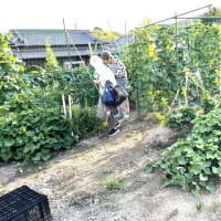 7月12日（土）②