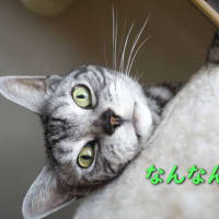 居場所を・・
