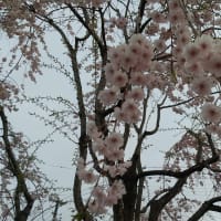 仙台の空、6年4月14日、日曜日