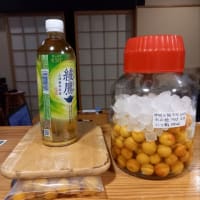 果実酒　2025