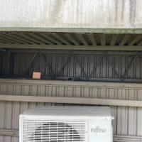 誰かが球根を食べている(驚