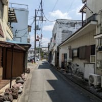 レトロな町並み秩父路、河原で水遊び