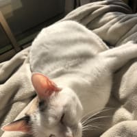 なな、細菌検査の結果が出ました。