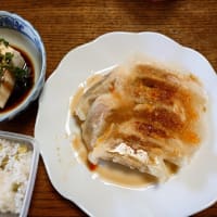 餃子、豆ごはん、とうふ