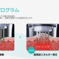 ポテンツァ（POTENZA）とは？