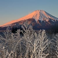 新年の富士山．２・忍野他