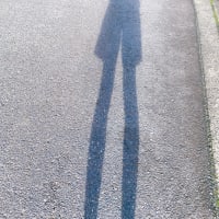 老後もきっとやる事多い☆
