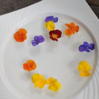 夏シーズンを前に