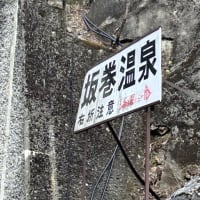 富山湾でホタルイカの身投げを掬いに・・・。