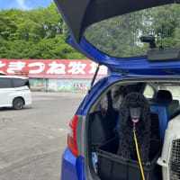 6月の里帰り