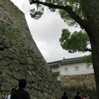 大々的な修復工事中だが、あえての世界文化遺産　国宝姫路城への巻