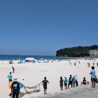 フィニッシュ白浜大会21