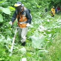 草刈り作業 ご苦労さまでした