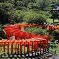 無事帰宅