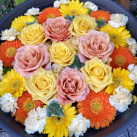今日いち-2024年11月19日