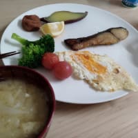 今日もおなかいっぱい