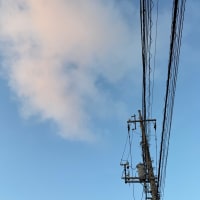 2025/07/25