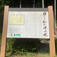 湧き水を飲んで