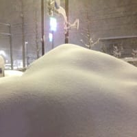 大雪は楽しい(*^^*)