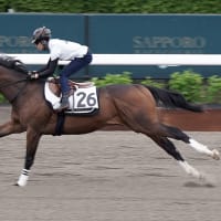 優駿スタリオンステーション】種牡馬展示会にて（オグリキャップ