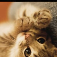 休んだ。