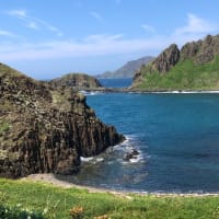 花の島、礼文。