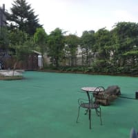 墓参へ